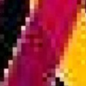 Profile photo of Maxwell marco